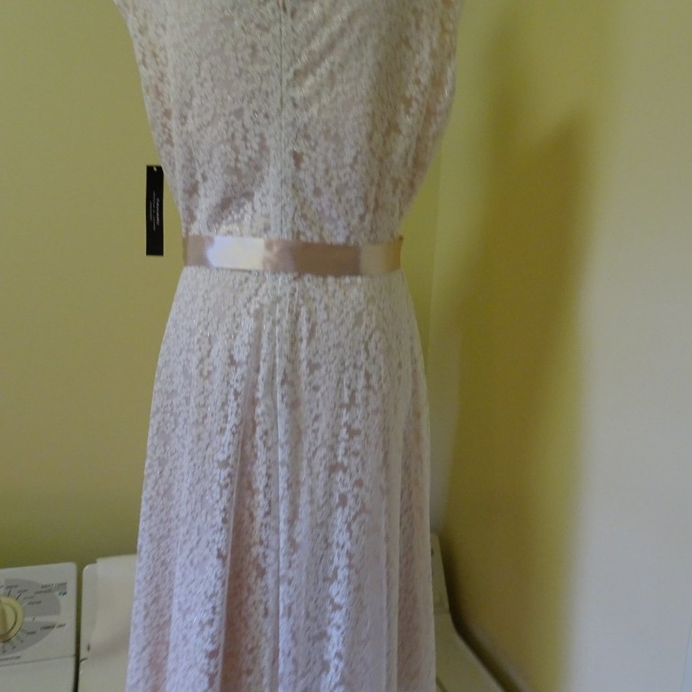 Ladies Size 14 Champagne Lace Dress-NEW - Picture 5 of 8